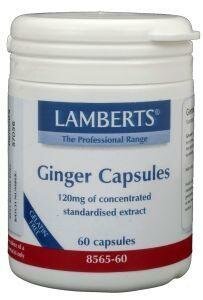 Gember (ginger) Lamberts 60vc