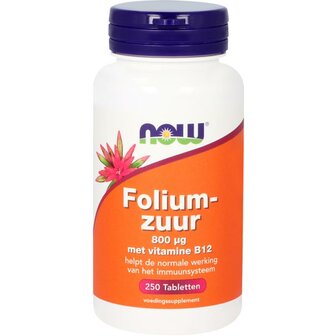 Foliumzuur 800 mcg NOW 250tb