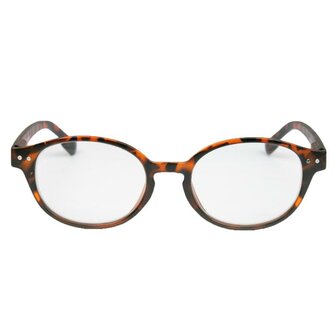 Leesbril mat Havana rond +2.50 IBD 1st