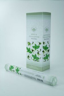 Wierook mint en eucalyptus Green Tree 20st