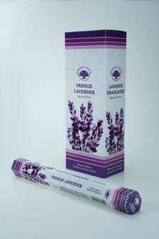 Wierook French lavender Green Tree 20st