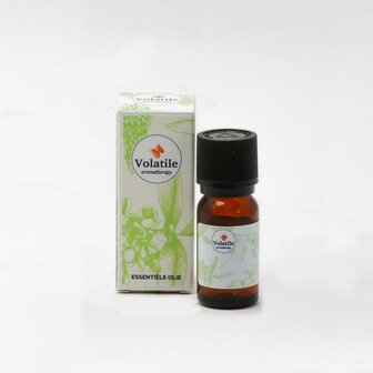 Palm beach Volatile 5ml