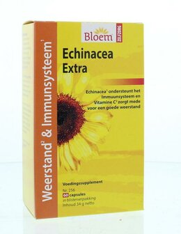 Echinacea Bloem 60ca
