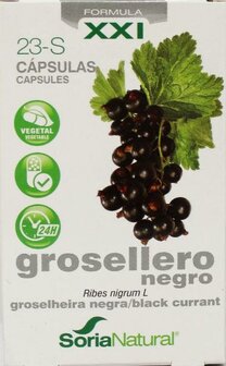 Ribes nigrum 23-S XXI Soria 30ca