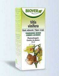 Vitis vinifera bio Biover 50ml