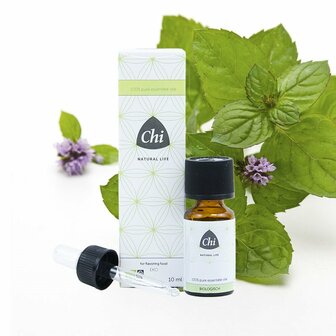 Pepermunt Frankrijk etherische olie eko bio CHI 10ml