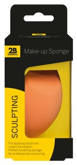 Sponges sculpting 2B 1st